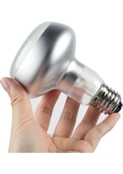 Beyaz Stil 8 Paket 75W Sürüngen Işık Uva Isı Lambası Ampul Sakallı Ejderha Aksesuarları Sürüngenler 220V (Yurt Dışından) modelleri