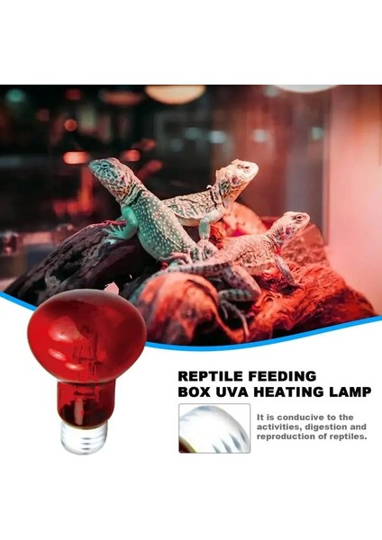 70W Tarzı Pet Kırmızı Isıtma Lambası E27 Gündüz Gece Amfibi Yılan Lamba Isı Sürüngen Ampul Uv Işık 25W 50W 100W Ac (Yurt Dışından) indirimleri