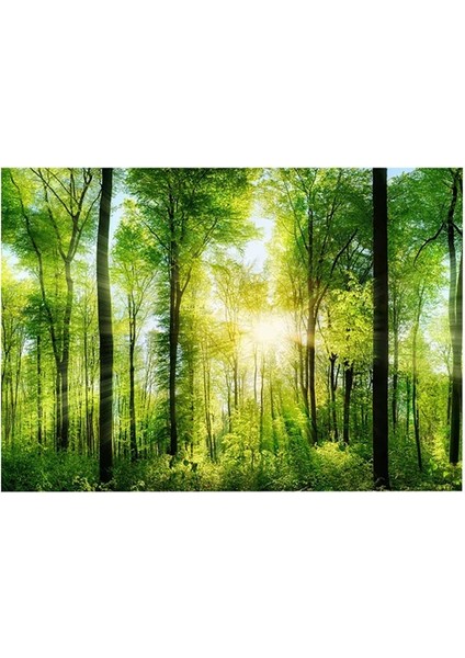 No.4 Stili 61X41CM 3D Etkisi Deniz Arka Plan Akvaryum Okyanus Manzara Posteri Akvaryum Arka Plan Posteri Dekorasyon Duvar Peyzaj Arka Plan (Yurt Dışından)