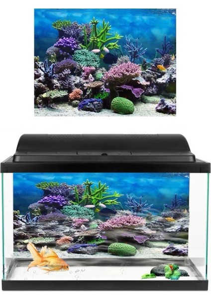 No.4 Stili 61X41CM 3D Etkisi Deniz Arka Plan Akvaryum Okyanus Manzara Posteri Akvaryum Arka Plan Posteri Dekorasyon Duvar Peyzaj Arka Plan (Yurt Dışından) fiyatları