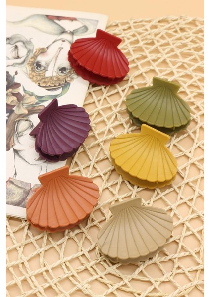 Mandal Toka Deniz Kabuğu Midye Mandal Toka