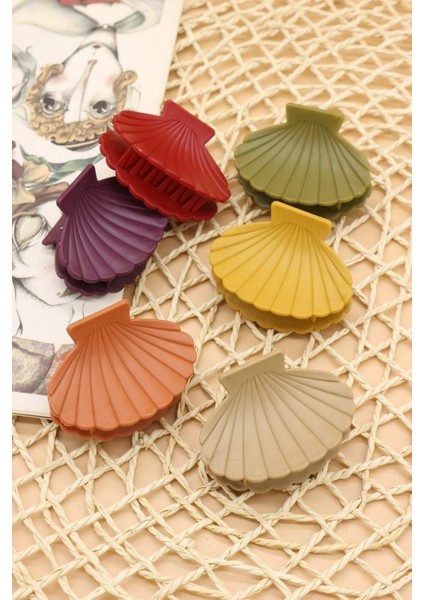 Mandal Toka Deniz Kabuğu Midye Mandal Toka fiyatları