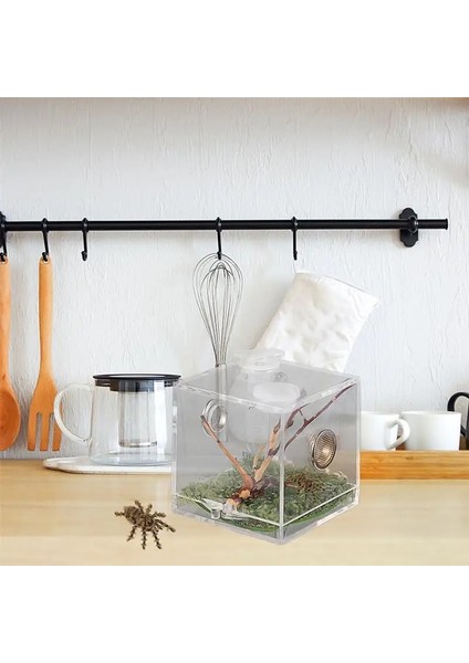 Atlayan Örümcek Muhafaza Kutusu Örümcek Habitat Kutusu Akrilik Böcekler Besleme Kutusu (Yurt Dışından)