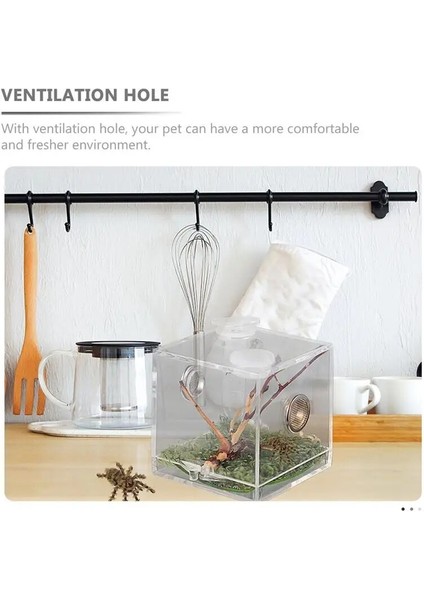 Atlayan Örümcek Muhafaza Kutusu Örümcek Habitat Kutusu Akrilik Böcekler Besleme Kutusu (Yurt Dışından) modelleri