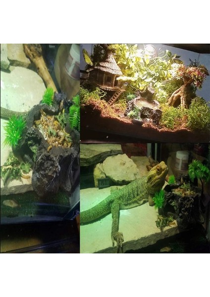 B Tarzı Kertenkele Için Sürüngen Su Besleme Besleyici Kaplumbağa Sakallı Ejderha Leopar Gecko Reçine Kertenkele Için Yapılmış, Gecko Su Tabağı Y5GB (Yurt Dışından)