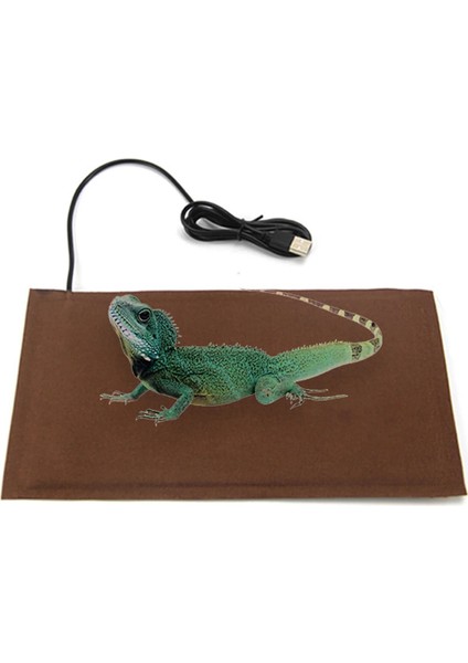 3,5W Tarzı 2020 Sürüngen Isıtma Yastığı Sıcaklık Kontrolü Evcil Hayvan Sıcaklık Kertenkele Hamster Anti-Smashing Idrar Kaşıma Bakım Battaniyesi USB Taşıma Matı (Yurt Dışından)