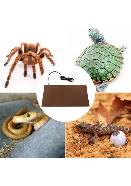 3,5W Tarzı 2020 Sürüngen Isıtma Yastığı Sıcaklık Kontrolü Evcil Hayvan Sıcaklık Kertenkele Hamster Anti-Smashing Idrar Kaşıma Bakım Battaniyesi USB Taşıma Matı (Yurt Dışından) fırsatları