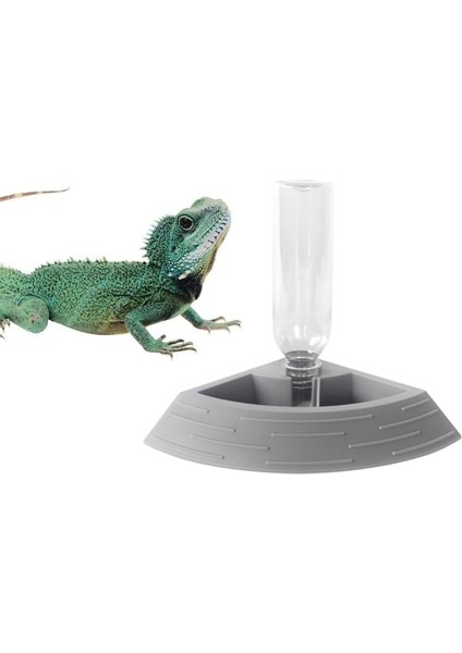 Siyah Stil Otomatik Sürüngen Besleyici Suluk Kaplumbağa Yiyecek ve Su Kasesi Küçük Hayvan Dağıtıcı Teraryum Kertenkele Için Köşe Tabak (Yurt Dışından) fırsatları