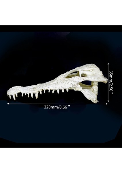 Timsah Dinozor Kemiği Atlatmak Ev Reçine Sürüngen Habitat Su Manzara Simülasyon Kafatası Akvaryum Dekorasyon (Yurt Dışından)