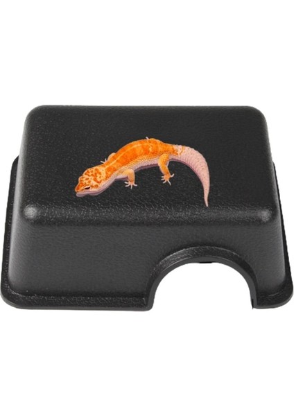 Sürüngen Saklanma Kutusu Küçük Hayvan Gizlemek Mağara Evcil Hayvan Kaplumbağa Kaçış Habitat Mağarası Yılanlar Kertenkeleler Leopar Gecko Için Güvenli (Yurt Dışından) modelleri