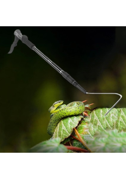 Top Piton Küçük ve Taşıma Için Teleskopik Yılan Kancası ve Kavrayıcı Sürüngen Kancası (Yurt Dışından) fırsatları