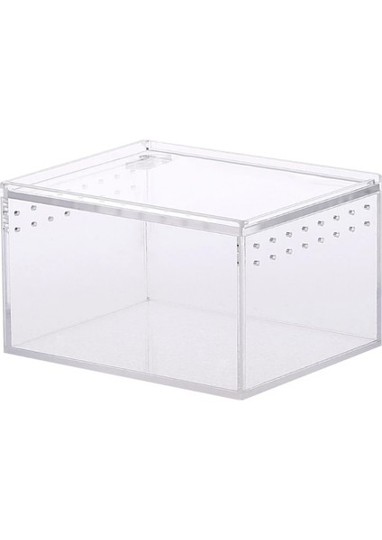 10,3x8,3x6 Stili Temizle Tasarlanmış Sürüngen Pet Besleme Örümcek Yılan Salyangoz Boynuz Böcek Yetiştirme Kutusu (Yurt Dışından)