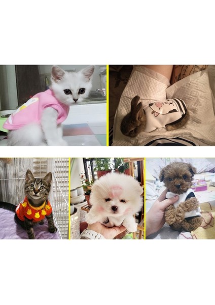 4 Kurbağa Tarzı Xs Boyutu Sevimli Hayvan Yenidoğan Cüce Tavşan Giysileri Erkek Tavşan Bebek Köpek Giyim Cüce Gömlek Gelincik Hoodies Hamster Aksesuarları (Yurt Dışından) modelleri