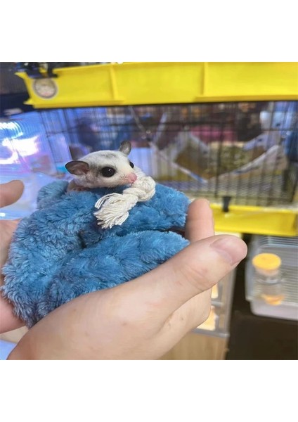 Mavi Stil Kış Sıcak Kısa Peluş Kuş Hamster Şeker Planör Hamak Bebek Sincap Asılı Uyku Tulumu Yatak Kuş Hamster Küçük Evcil Hayvan Kaynağı (Yurt Dışından)