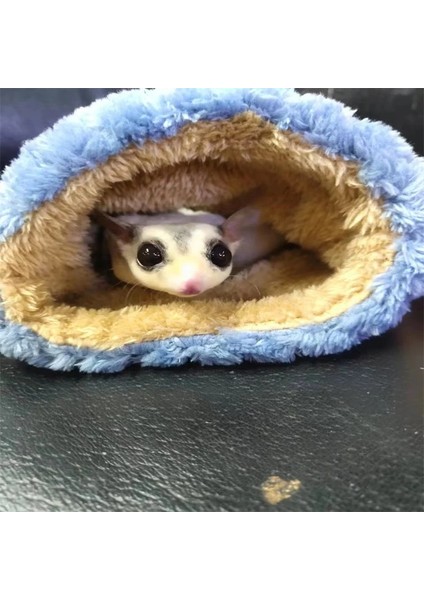 Mavi Stil Kış Sıcak Kısa Peluş Kuş Hamster Şeker Planör Hamak Bebek Sincap Asılı Uyku Tulumu Yatak Kuş Hamster Küçük Evcil Hayvan Kaynağı (Yurt Dışından)