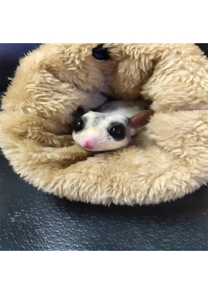 Mavi Stil Kış Sıcak Kısa Peluş Kuş Hamster Şeker Planör Hamak Bebek Sincap Asılı Uyku Tulumu Yatak Kuş Hamster Küçük Evcil Hayvan Kaynağı (Yurt Dışından)