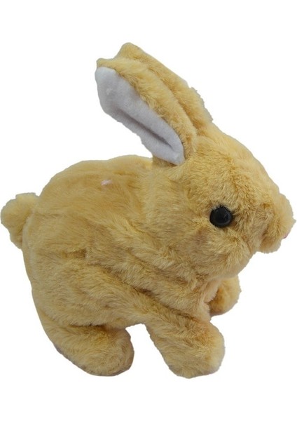 Tavşan Peluş Pilli 1 Adet Stokta Olan Gönderilir modelleri