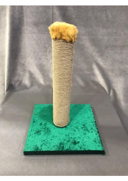 Kedi Tırmalama Tahtası