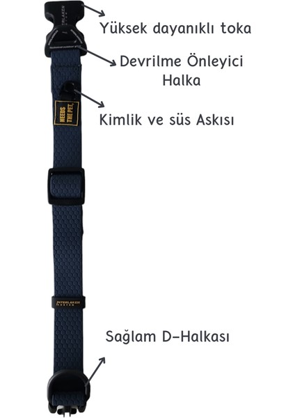 Su Geçirmez Sağlam D-Halkalı Lacivert Köpek Boyun Tasması - Medium