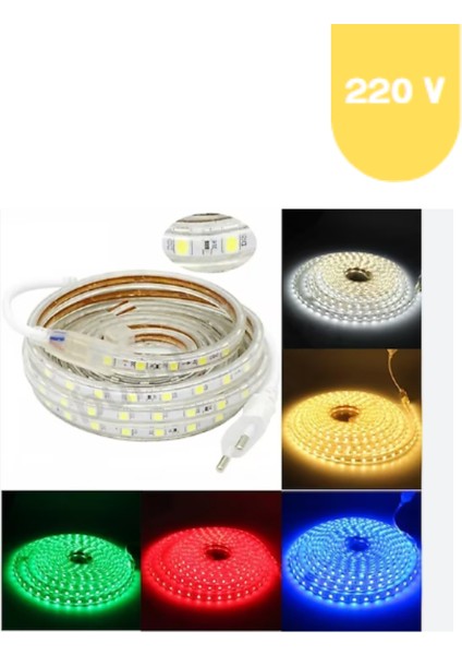 Msv 220 Volt Rgb Hortum LED Tak Çalıştır Set 3 Çipli 60 Ledli Dış Mekan IP65