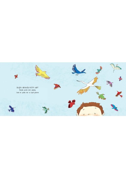 Nefes Al Bulutlar Dağılsın - Louise Bladen modelleri