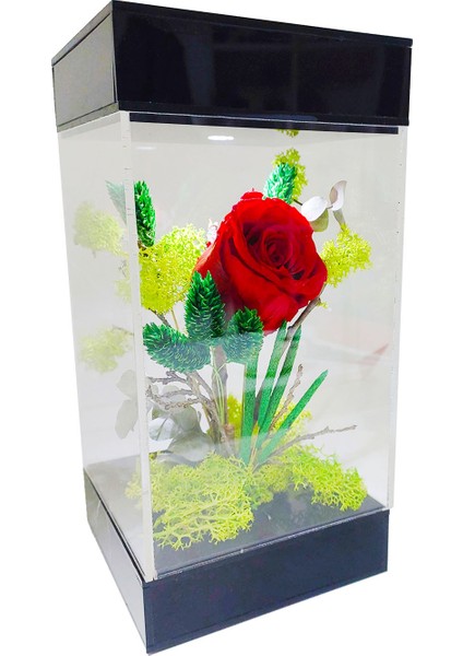 LED Venüs Moss Teraryum Kırmızı Solmayan Gül & Aşkın Tasarımı& Işıklı Pleksi Kutuda Sevgiliye Hediye modelleri