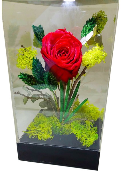 LED Venüs Moss Teraryum Kırmızı Solmayan Gül & Aşkın Tasarımı& Işıklı Pleksi Kutuda Sevgiliye Hediye indirimleri