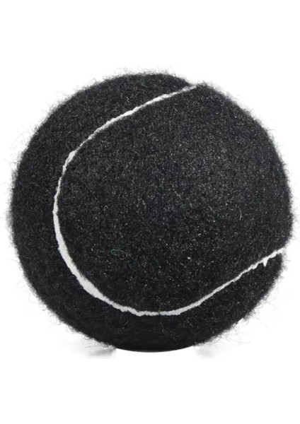 Blcck 4 Adet Tarzı 4 Adet Eğitim Yarışması Tenis Yetişkin Gençlik Eğitimi Tenis Topu Özelleştirilmiş Kırmızı Yüksek Esneklik Eğitimi Tenis Topu (Yurt Dışından)