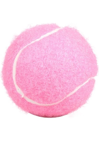 Blcck 4 Adet Tarzı 4 Adet Eğitim Yarışması Tenis Yetişkin Gençlik Eğitimi Tenis Topu Özelleştirilmiş Kırmızı Yüksek Esneklik Eğitimi Tenis Topu (Yurt Dışından)