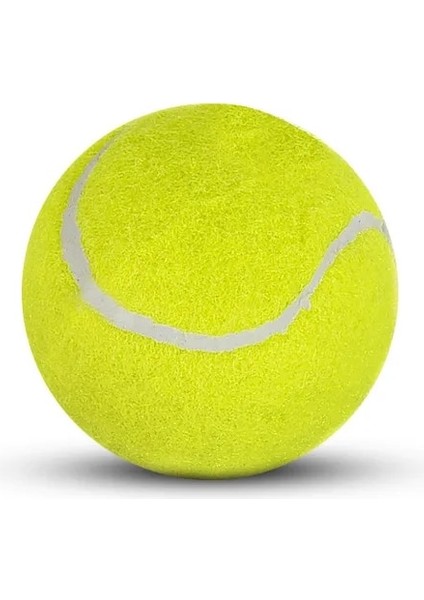 Beyaz Stil Ock Emici Yüksek Elastikiyet Dayanıklı Eğitim Topu Profesyonel Takviyeli Kauçuk Tenis Topu Kulübü Okul Eğitimi (Yurt Dışından)