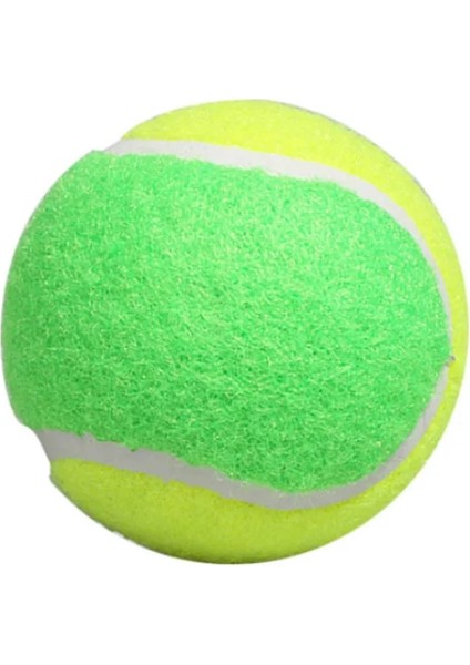 Yüksek Elastik Dayanıklılık Kauçuk Tenis Eğitimi Profesyonel Oyun Topu Spor Tenis Eğitimi Topu Çocuk Okulu Eğitimi (Yurt Dışından)