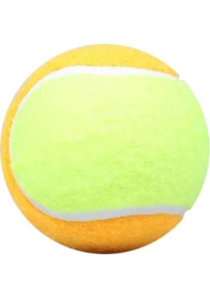 Yüksek Elastik Dayanıklılık Kauçuk Tenis Eğitimi Profesyonel Oyun Topu Spor Tenis Eğitimi Topu Çocuk Okulu Eğitimi (Yurt Dışından)