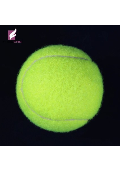 Eğitim Yarışması Için Lot Profesyonel Tenis Topu Standart Tenis Topu Yüksek Elastikiyet Sporları Kauçuk Tenis Topları (Yurt Dışından)