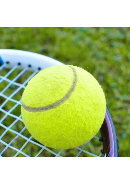 Outad Sarı Tenis Topu Spor Turnuvası Açık Eğlence Kriket Plaj Köpek Aktivite Oyunu Oyuncak Mc Teractice Eğitim Topları (Yurt Dışından) fiyatları