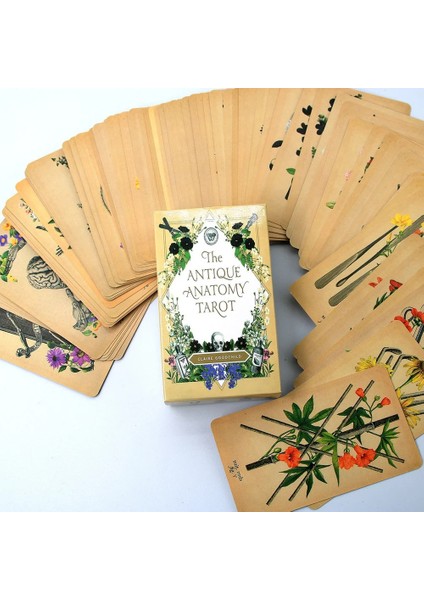 Sihirbaz Stili Antik Anatomi Tarot Masa Oyunu Oyuncaklar Oracle Rider Waite Kehanet Peygamber Kehanet Kartı Poker Hediye Tahmin Oracle (Yurt Dışından) modelleri