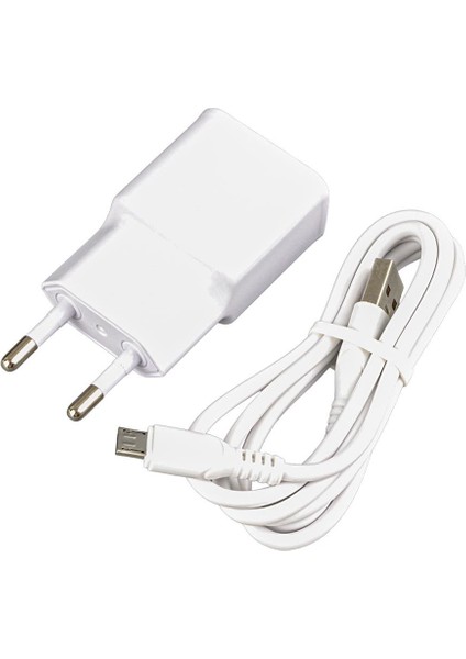 WK-21434 S6 2.1 AMPER ŞARJ BAŞLIK ADAPTÖRÜ + MICRO USB KABLO(NO:3)