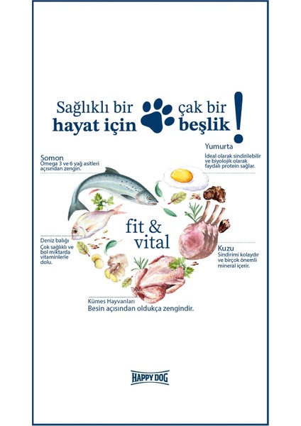 Mini Light 4 kg Küçük Irk Yetişkin Köpek Maması 4 kg modelleri