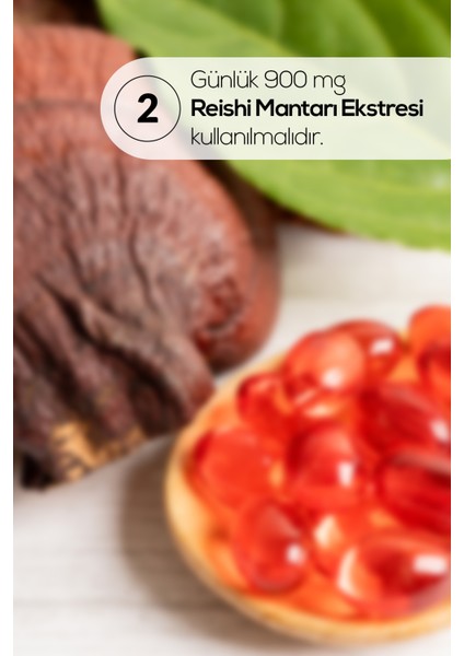 Reishi Mantarı Ekstresi 60 Kapsül