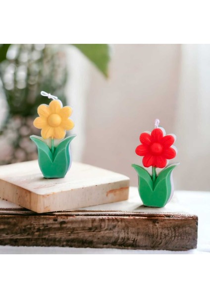 Papatya Mum Silikon Kalıbı No:2