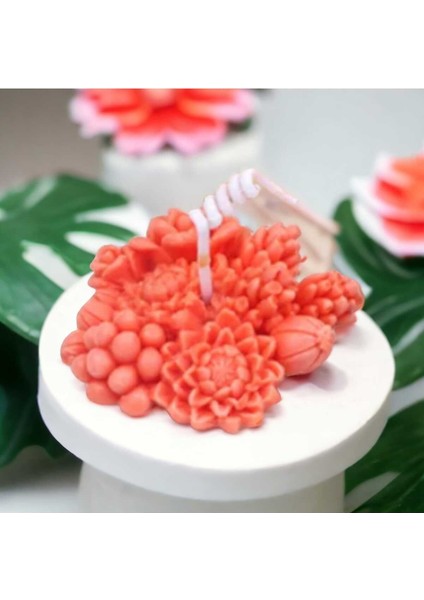 Sukulent Demeti Silikon Mum Kalıbı No: 1