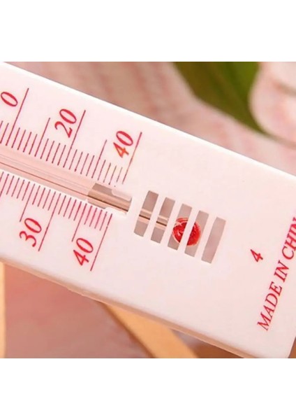 Gümüş Tarzı Termometre Celsius Fahrenheit Duvar Asılı Kapalı Açık Bahçe Sera Ev Ofis Odası Ölçeği Termometre (Yurt Dışından) modelleri