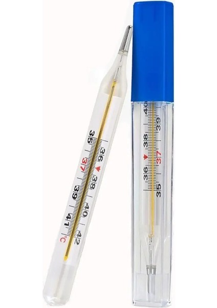 Mavi Stil Taşınabilir Cam Termometre Ev Termometreleri Sıcaklık Ölçüm Cihazı Büyük Ekran Net Okuma Ölçeği (Yurt Dışından)