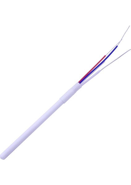 80W 60W Farklı Türlerde Ayarlanabilir Sıcaklık Elektrikli Havya Isıtıcı 220V 110V Seramik Dahili Isıtma Elemanı (Yurt Dışından)