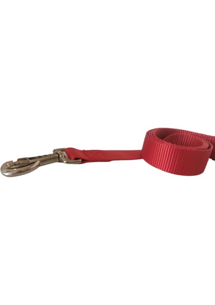 Köpek Gezdirme Kayışı 1,5 cm x 115 cm Kırmızı fırsatları