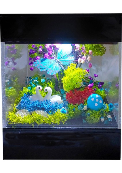 LED Venüs Moss Teraryum Kuğuların Aşkı Teraryum Işıklı Bahçe & Kelebek Pleksi Kutu Sevgiliye Hediye