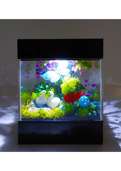 LED Venüs Moss Teraryum Kuğuların Aşkı Teraryum Işıklı Bahçe & Kelebek Pleksi Kutu Sevgiliye Hediye fırsatları