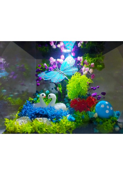 LED Venüs Moss Teraryum Kuğuların Aşkı Teraryum Işıklı Bahçe & Kelebek Pleksi Kutu Sevgiliye Hediye indirimleri