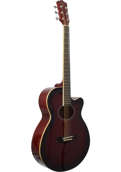 Gitar Akustik Extreme XA35WRS