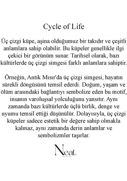 Cycle Of Life Kadın Çelik Küpe modelleri