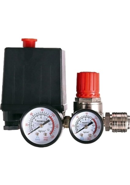 YMDS14S2 220 Volt Duruk Şalter Çift Saatli